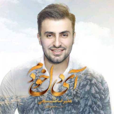 دانلود آهنگ جدید علیرضا طلیسچی ای دل خودم