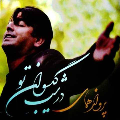 دانلود آهنگ جدید پرواز همای باز هوایی شدی