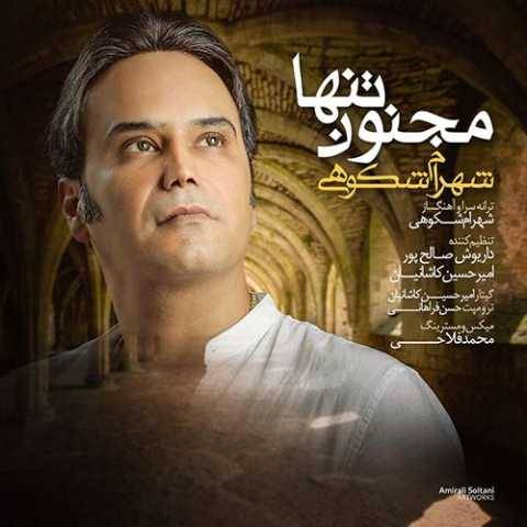 دانلود آهنگ جدید شهرام شکوهی مجنون تنها